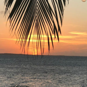 Meet your Posher, Gurvinder